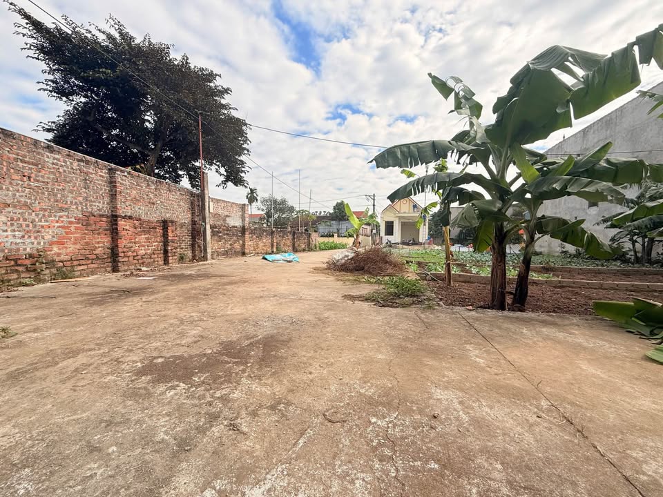 Đất nền lô góc Tự Nhiên 51,7m² giá chỉ 2,55 tỷ - Sổ đỏ chính chủ