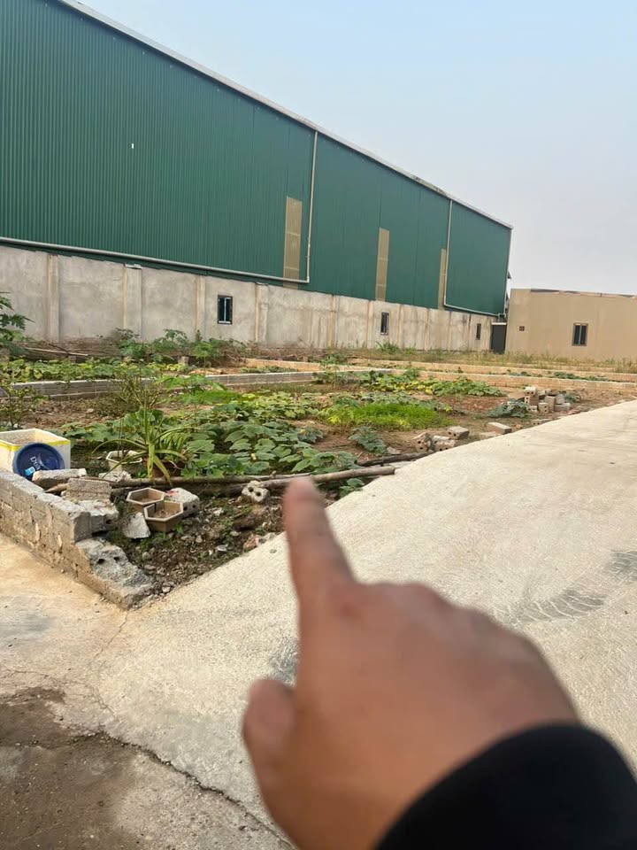 Đất nền Hồng Vân Thường Tín 80m² giá chỉ 4x triệu - Sổ hồng chính chủ, đầu tư sinh lời!