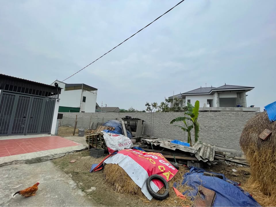 Đất Xóm 9 - Nghi Kim 96,9m² giá 1,65 tỷ - Cơ hội đầu tư lý tưởng!