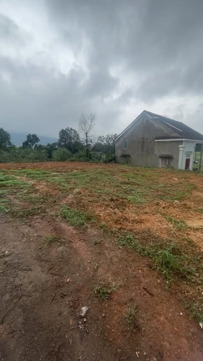 Đất nền Nam Nghĩa, Nam Đàn 291m² giá 1 tỷ - Đầu tư tiềm năng!