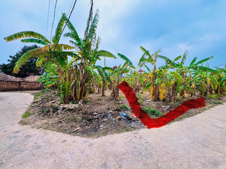 Đất nền thôn Nghè 1, xã Tiên Nha, Lục Nam, 123m² - Giá tốt, đầu tư sinh lời!