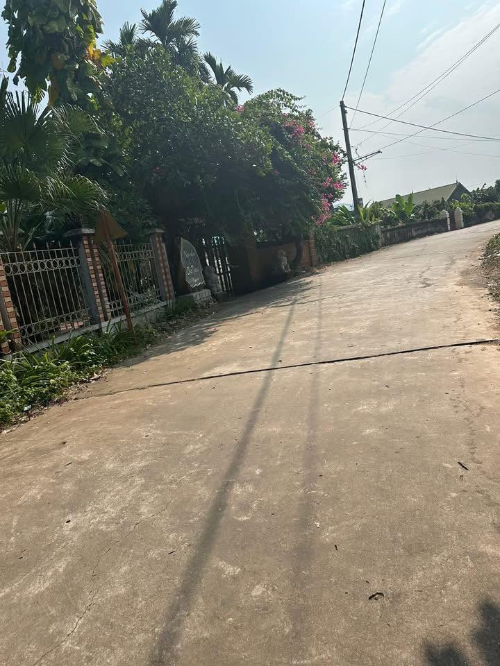 Đất thổ cư Lục Ngạn 204m² giá 1.1 tỷ - Vị trí thuận lợi cho gia đình!