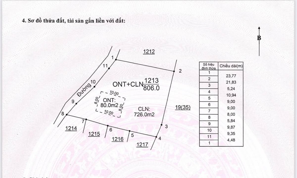 Đất nền 800m² tại Bình Sơn - Lục Nam, giá chỉ 600 triệu - Đầu tư sinh lời ngay!