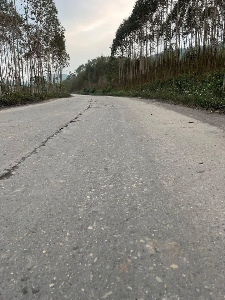 Đất nền Lục Sơn - Lục Nam 7136m² giá 2 tỷ - Đầu tư lý tưởng cho xưởng sản xuất!