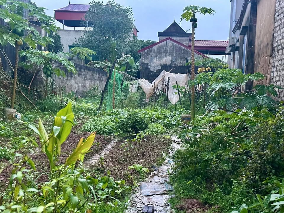 Đất thổ cư Duy Minh, Duy Tiên 121m² giá 2 tỷ - Địa thế đẹp, tiềm năng cao!