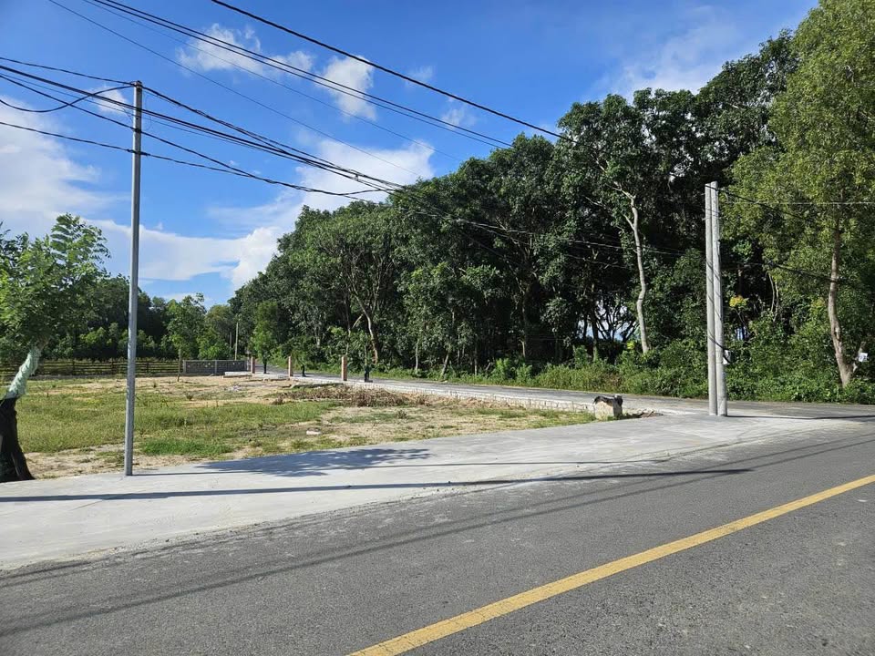 Đất nền Phước Hải, Đất Đỏ 242m² giá 2 tỷ - View núi Minh Đạm thoáng mát!