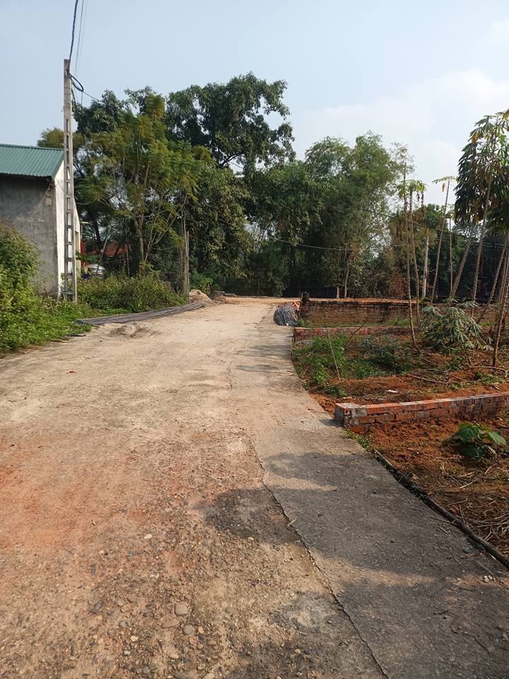 Đất thổ cư Chu Hóa Việt Trì 97m² giá 950 triệu - Vị trí đẹp, tiềm năng phát triển!