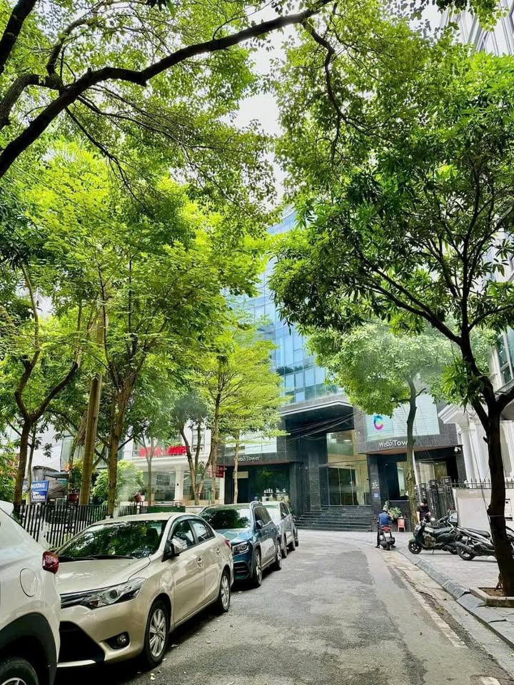 Bán gấp nhà mặt phố Duy Tân, Cầu Giấy, 148m² giá 51 tỷ - Vị trí đắc địa, ô tô tránh nhau!