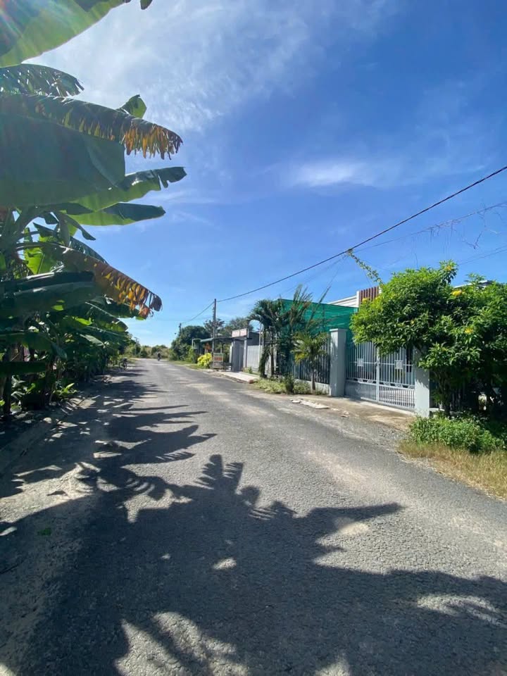 Đất thổ cư Ninh Lợi, Tây Ninh 179.1m² giá 2.388 tỷ - Cơ hội đầu tư tuyệt vời!