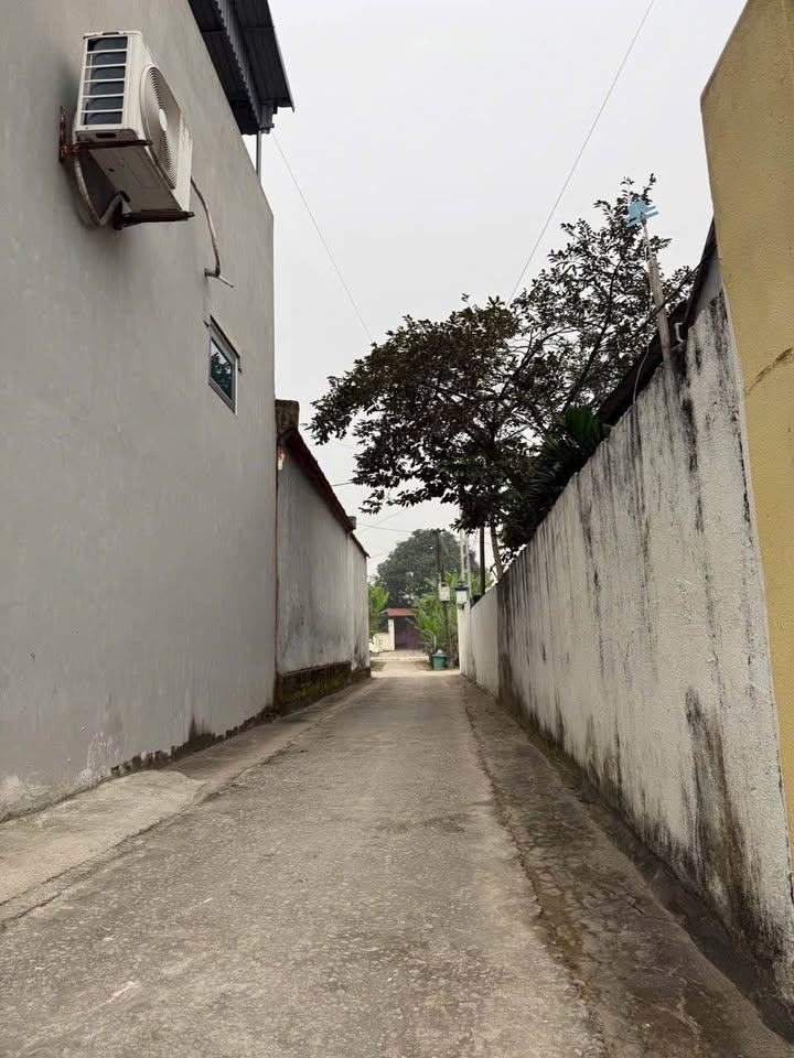 Đất thổ cư phố Quang Trung 621m² giá chỉ 1 tỷ - Ô tô vào tận nhà!