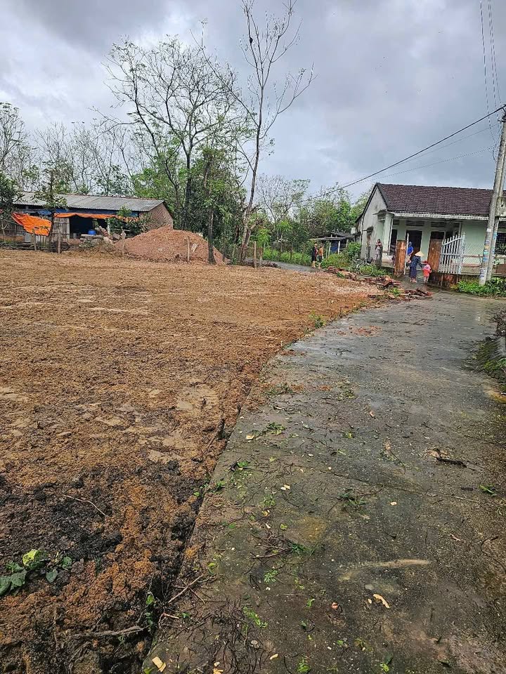 Đất nền Tráng Long, Nhơn Lộc, An Nhơn 100m² giá 300 triệu - Cơ hội đầu tư tuyệt vời!