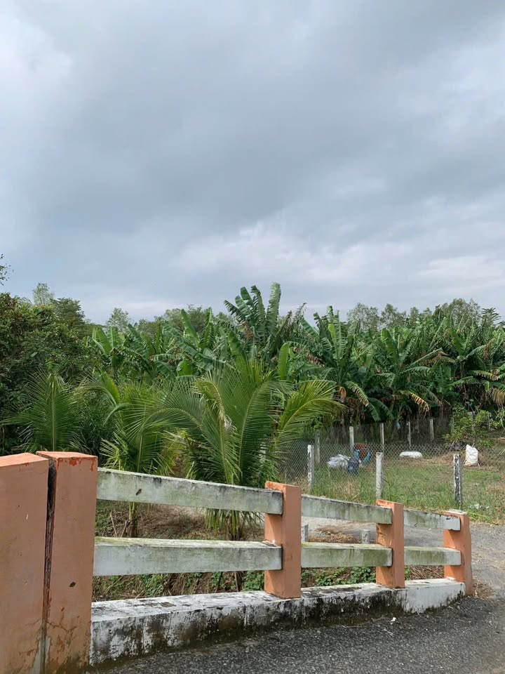 Đất Ruộng 510m² tại P. Mỹ Thới, An Giang - Giá chỉ 700 triệu