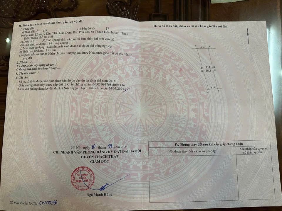 Đất tái định cư Thạch Hoà 55m² - Vị trí trung tâm, cơ hội đầu tư tuyệt vời!