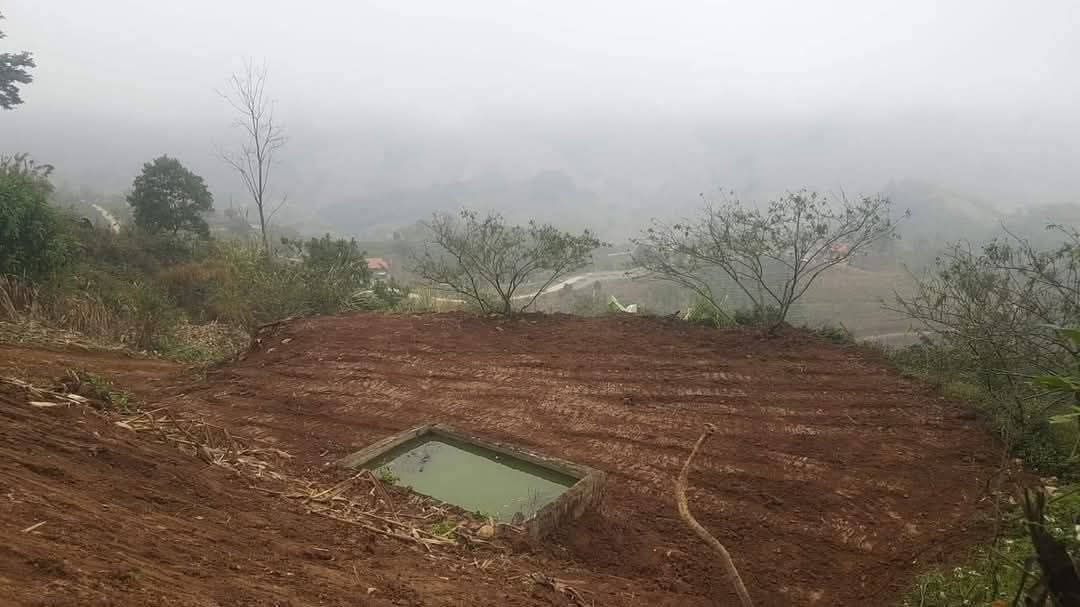 Đất Farm 2ha tại xã Tô Múa, Sơn La - Giá chỉ 1.9 tỷ - Đầy tiềm năng đầu tư!