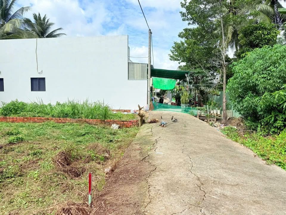 Đất nền thổ cư 132m² tại phường Sơn Đông - Giá chỉ 539 triệu