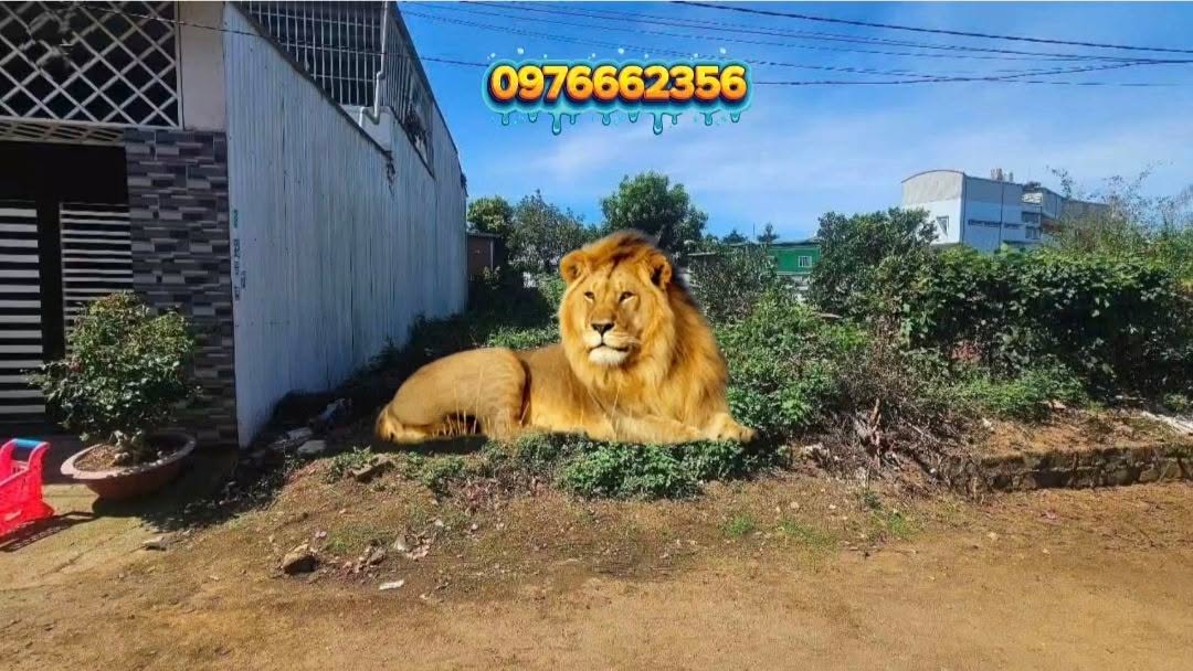 Đất nền Hẻm Trần Phú, Lộc Sơn 150m² giá 2.1 tỷ - Đầu tư sinh lời ngay!