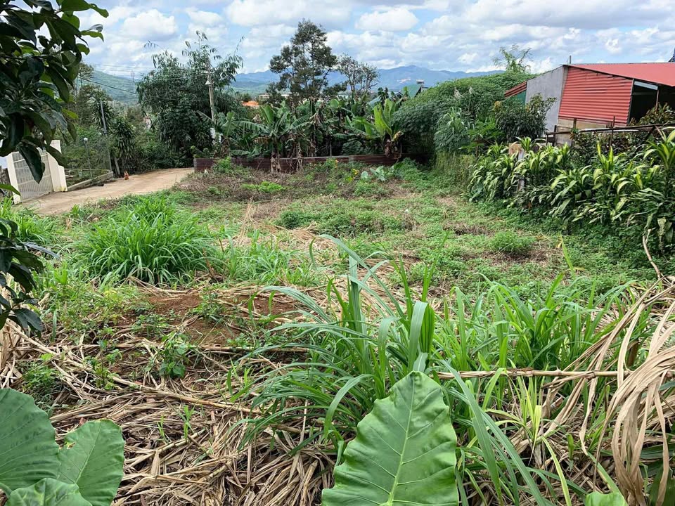 Đất nền B'lao, Bảo Lộc 384m² giá 2.9 tỷ - Tiềm năng kinh doanh lớn!