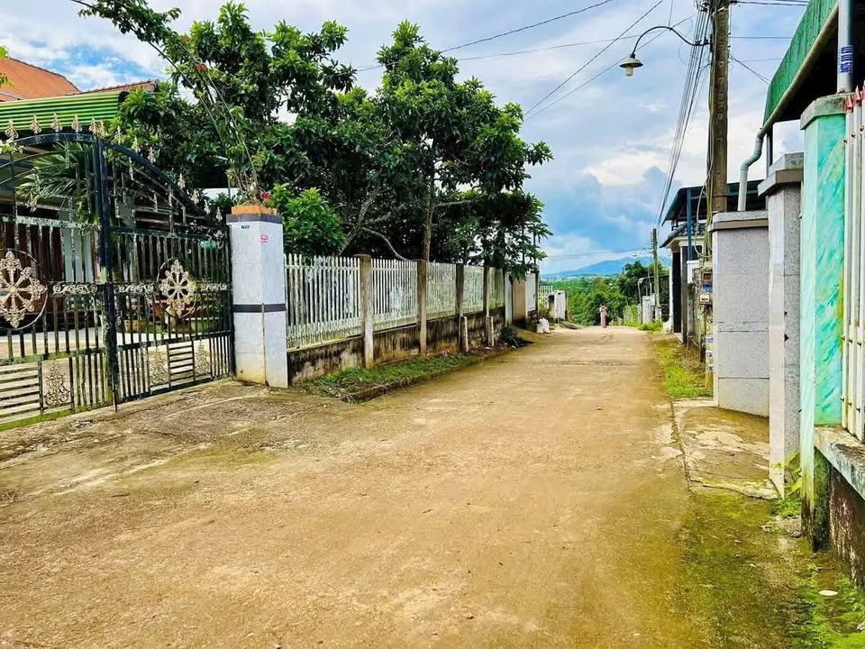 Nhà chính chủ khu vực Lộc An, 308m² chỉ 1.28 tỷ - Sẵn sàng vào ở!