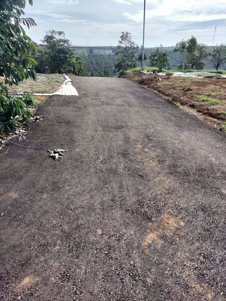 Đất nền Lộc Đức Bảo Lâm 8000m² giá 900 triệu - Cơ hội đầu tư tuyệt vời!