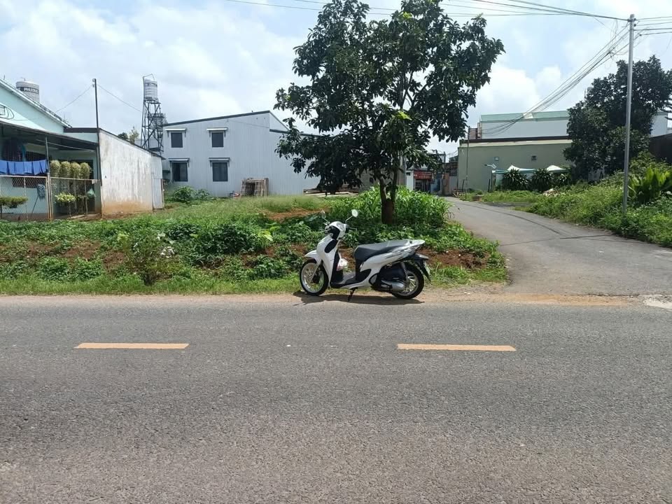 Đất nền 2 mặt tiền Nguyễn Hữu Chỉnh, P2, Bảo Lộc 325m² - Cơ hội đầu tư sinh lời!