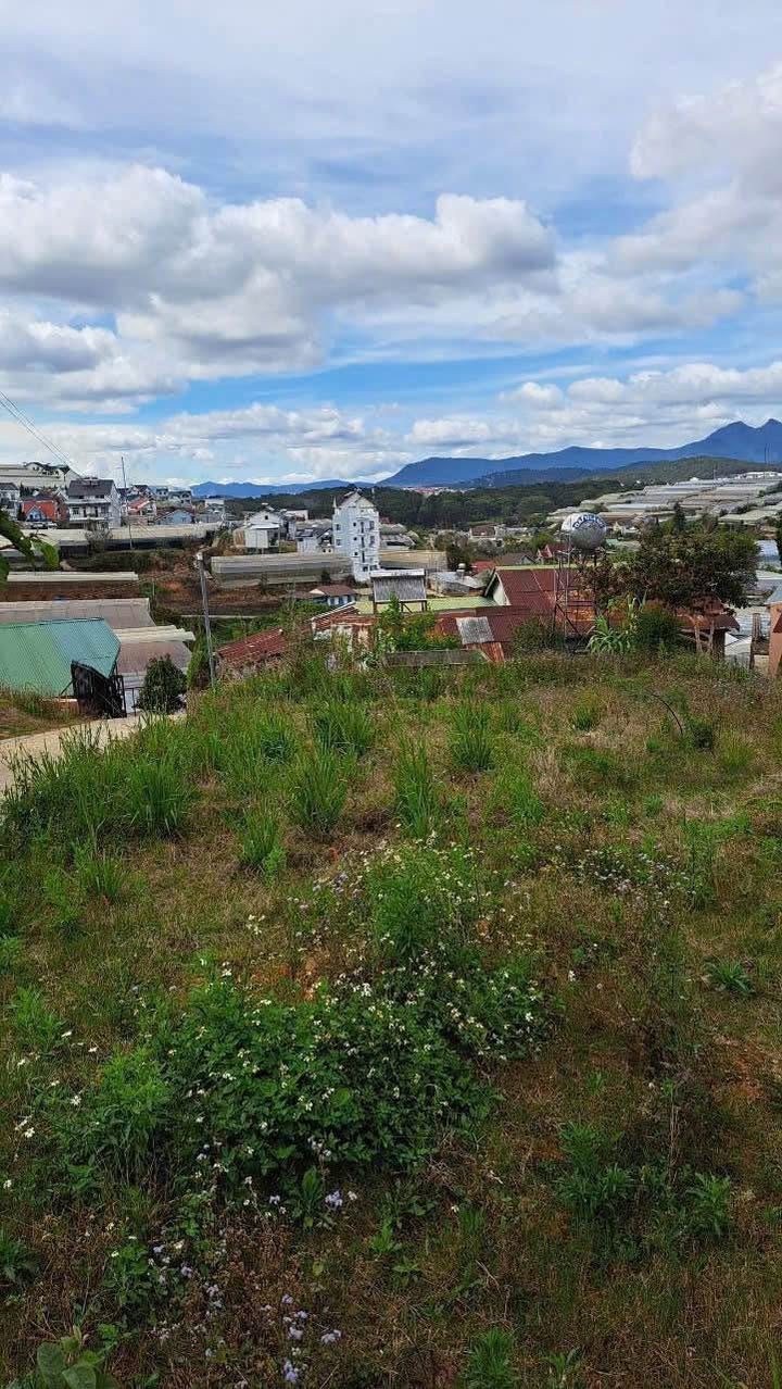 Đất nền Trịnh Hoài Đức, Đà Lạt 250m² giá 8.4 tỷ - View thành phố tuyệt đẹp!