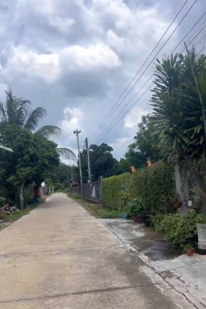 Đất nền Định Hiệp Dầu Tiếng 200m² giá 400 triệu - Mặt tiền đường bê tông thông