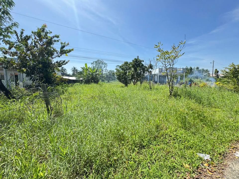 Đất thổ cư Lý Văn Lâm Cà Mau 250m² giá 520 triệu - Gần cầu Tạ Uyên!