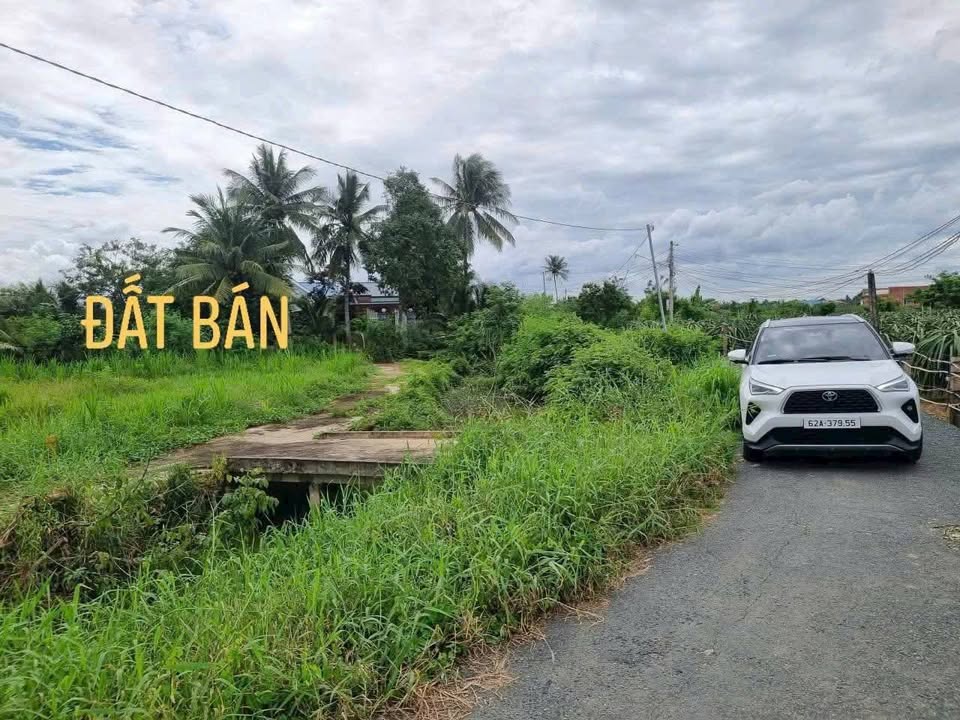 Đất thổ cư An Lục Long, Châu Thành, Long An 123.8m² giá chỉ 279 triệu - Đầu tư sinh lời ngay!