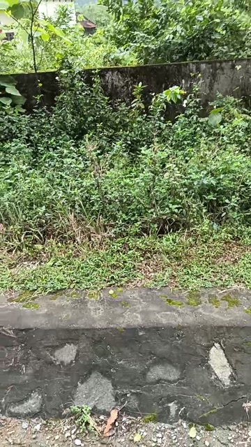 Đất nền xã Nam Hưng - Diện tích 227m² chỉ 1 tỷ - Cơ hội đầu tư sinh lời!