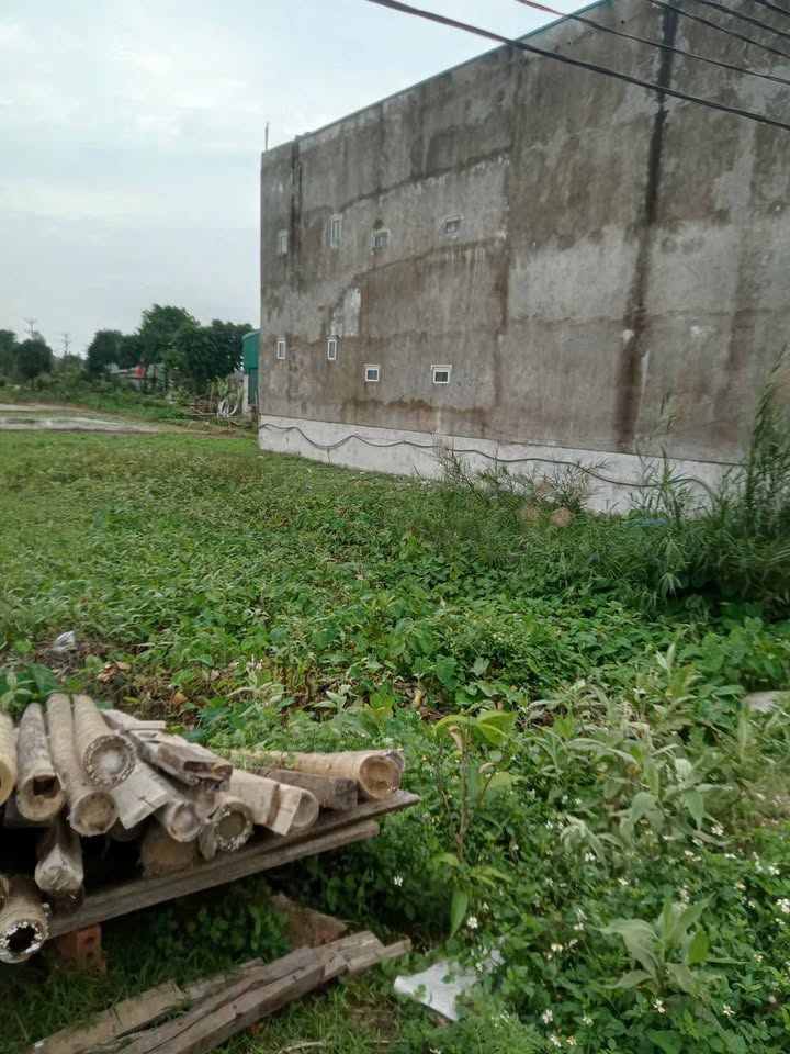 Đất thổ cư 120m² tại Quỳnh Lưu, Ninh Bình - Vị trí đắc địa cho kinh doanh!