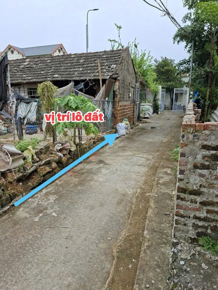 Đất thổ cư 65m² tại Phú Cát, Quốc Oai chỉ 1.65 tỷ - Đầu tư sinh lời cao!