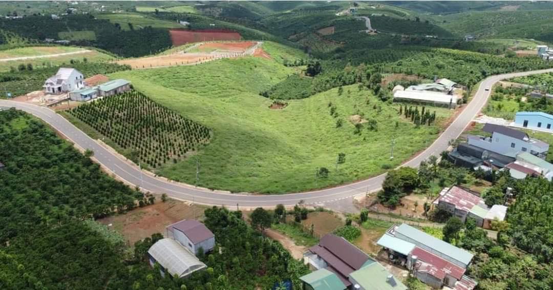 Đất rừng sản xuất 12000m² tại Hòa Ninh, Hòa Vang, Đà Nẵng - Chính chủ bán gấp!