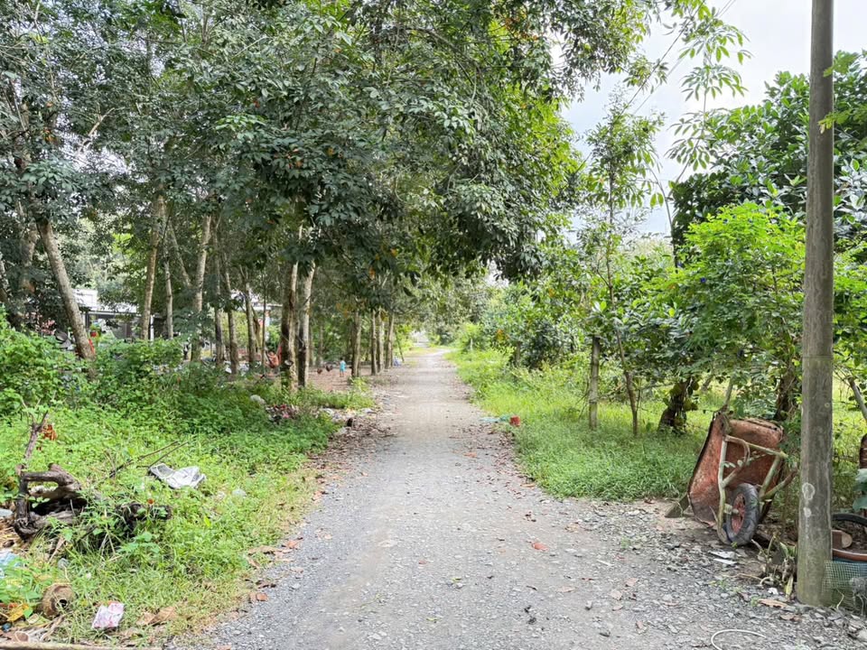 Đất nền An Nhơn Tây, Củ Chi 1396.5m² giá 4 tỷ - Pháp lý rõ ràng, sẵn sàng giao dịch!