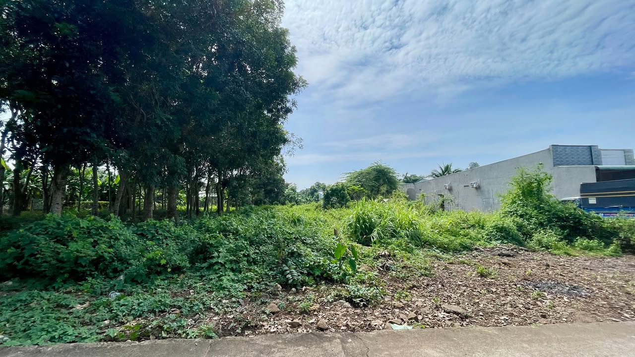 Đất nền Kim Long, Châu Đức, Bà Rịa - Vũng Tàu, 1381m² giá 3.8 tỷ - Đường ô tô, kết nối thuận tiện!