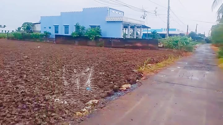 Đất mặt tiền nhựa 6m, 1375m² chỉ 1.8 tỷ - Đầu tư sinh lời ngay!