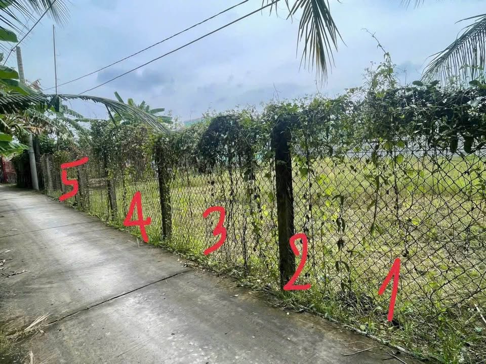 Đất nền Long Hòa A, Đạo Thạnh, Mỹ Tho 100m² giá 500 triệu - Đường ô tô vào tận nơi!