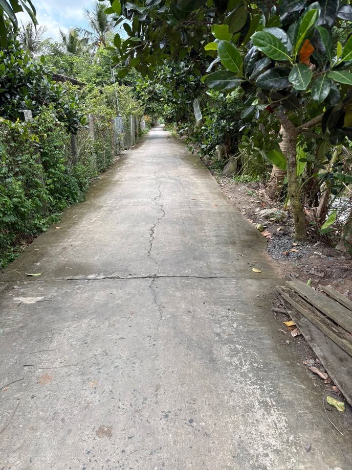 Đất 1000m² tại Ấp 2, Phú Cường, Cai Lậy chỉ 400 triệu - Cơ hội đầu tư tuyệt vời!