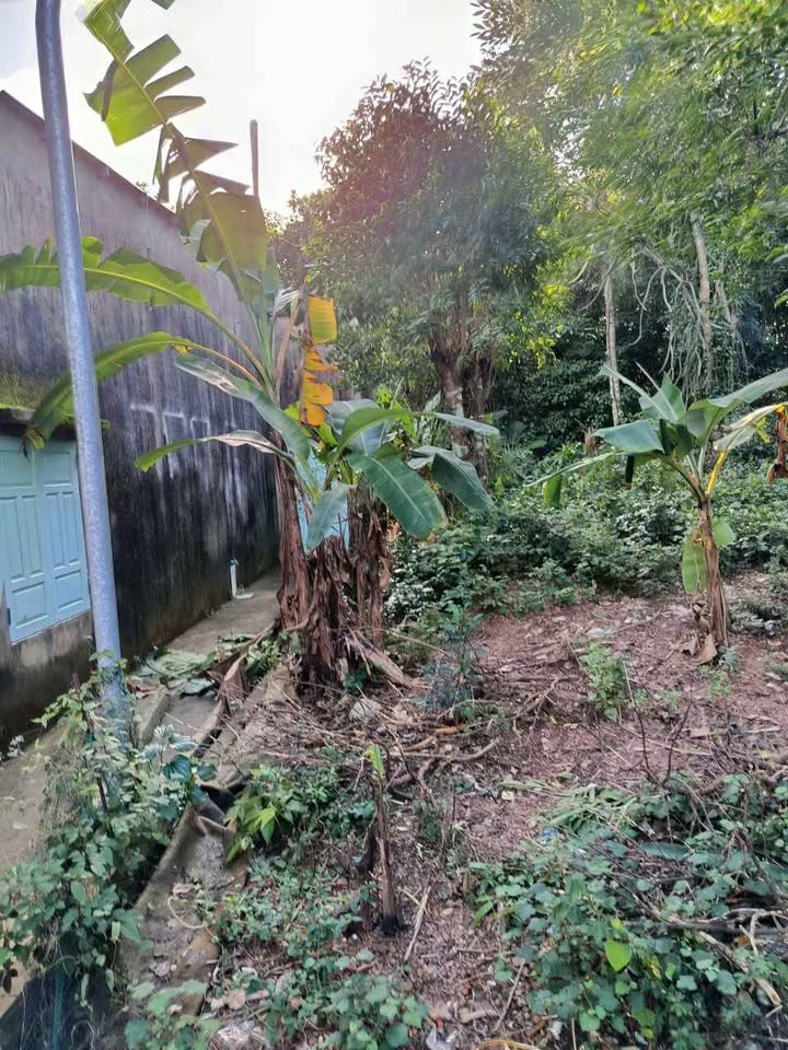 Đất An Ngãi Tây 100m² giá 1.64 tỷ - Khu vực không ngập lụt!