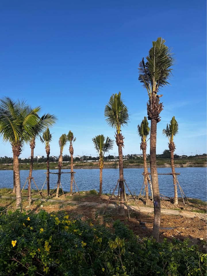 Đất nền Đầm Sen 100m² giá 5.1 tỷ - Hướng Bắc, cơ hội đầu tư tuyệt vời!