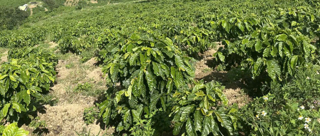 Đất nền Tân Thanh Lâm Hà 12,000m² giá 2 tỷ - Sổ đỏ chính chủ, tiện ích xung quanh!