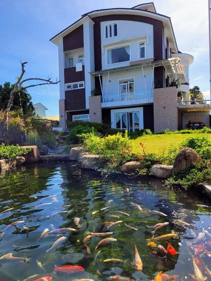 Biệt thự cao cấp 2 mặt tiền đường Lý Nam Đế, Đà Lạt 1000m² - Đầu tư sinh lời bền vững!