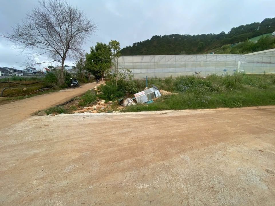 Đất nền Lâm Viên Đà Lạt 50m² giá 1.3 tỷ - Khu vực an cư lý tưởng!