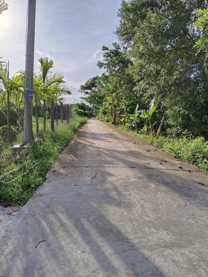 Đất mặt tiền view sông Hòa Thành 1000m² giá chỉ 700 triệu - Cơ hội vàng đầu tư!