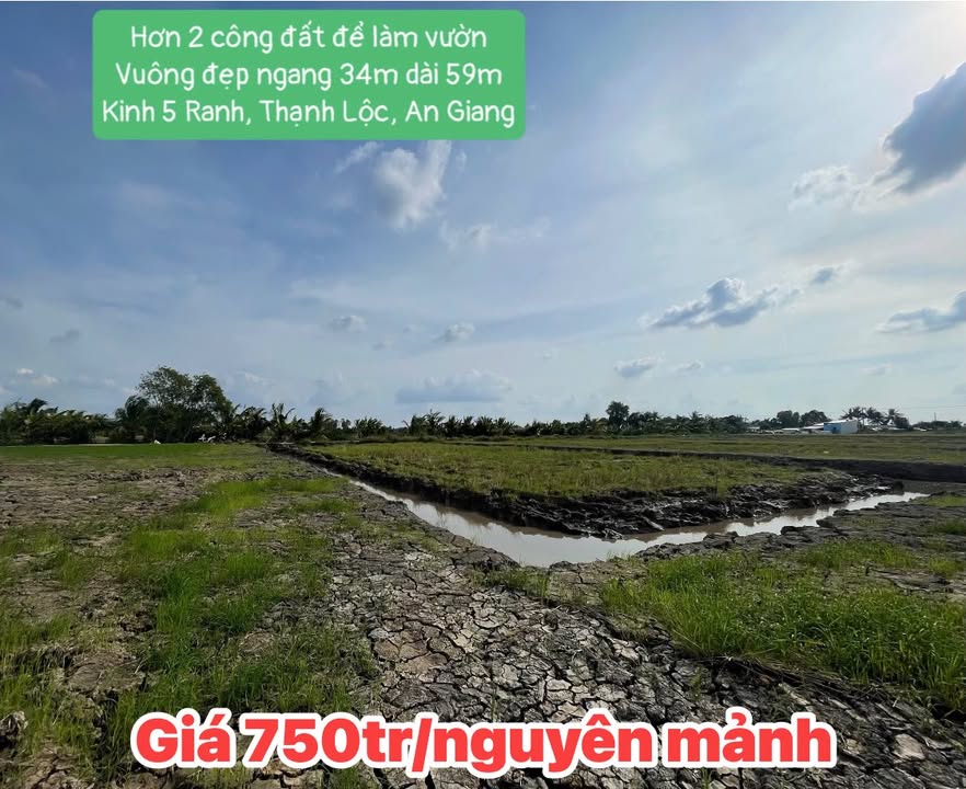 Đất vườn 2020m² tại Thạnh Lộc, An Giang - Giá chỉ 750 triệu!