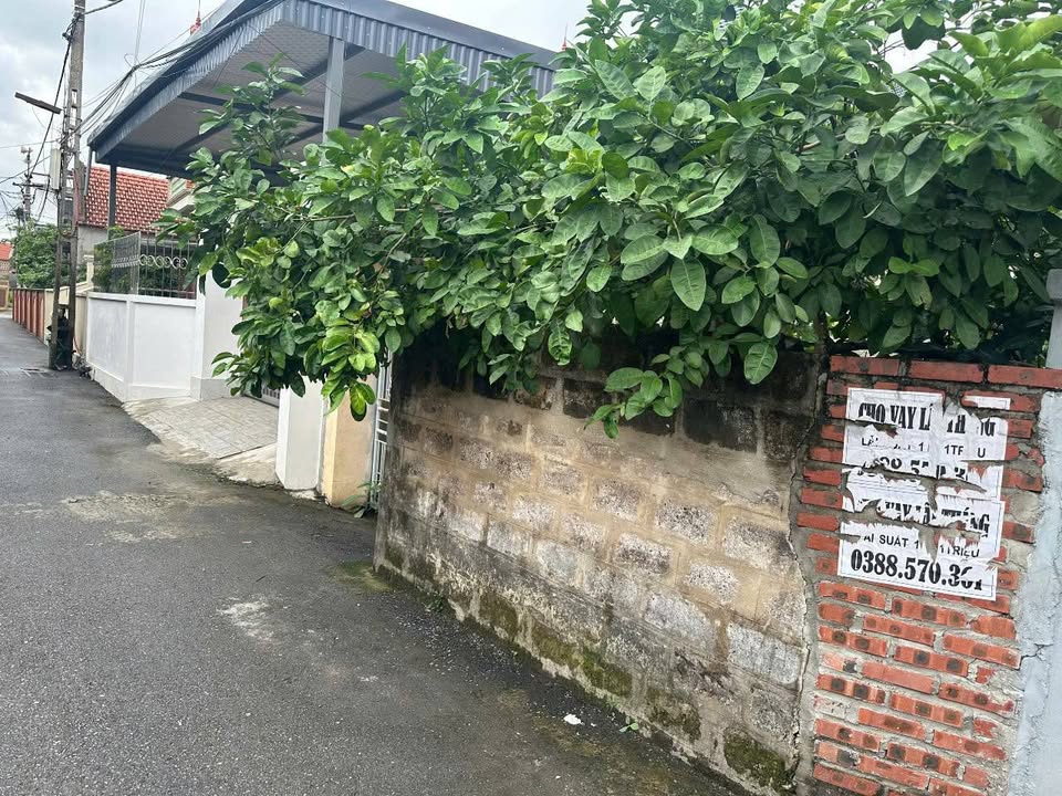 Lô đất Thủy Sơn Hải Phòng 132m² giá 3.6 tỷ - Đường ô tô đỗ cửa!