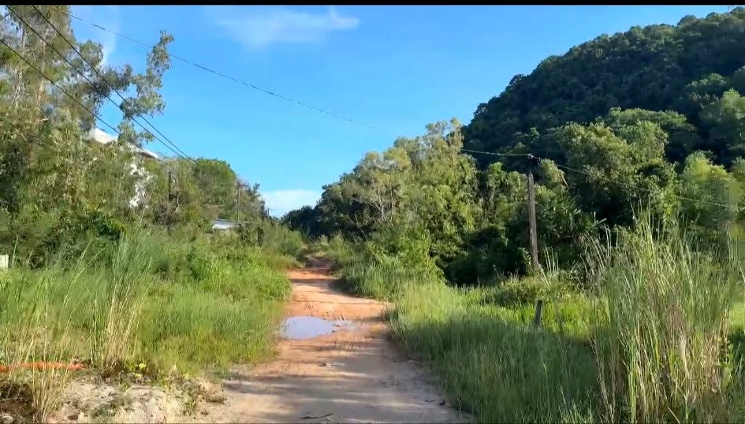 Đất nền 900m² mặt tiền Trần Hưng Đạo, An Thới - Cơ hội đầu tư vàng!