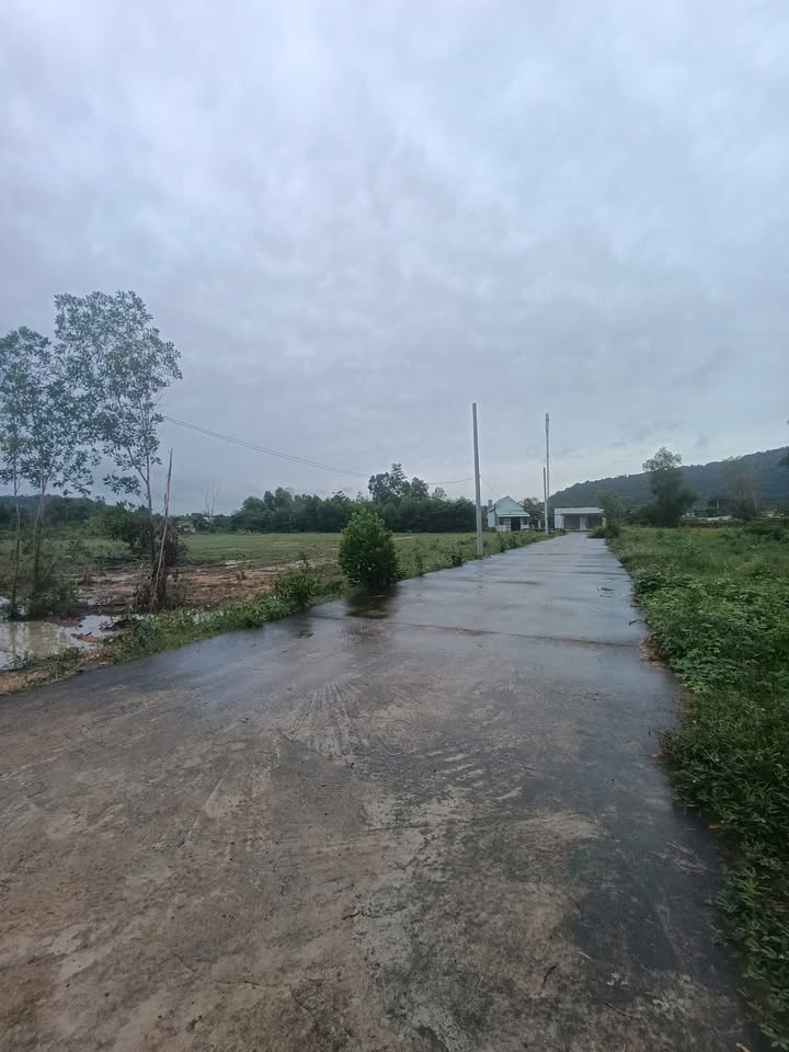 Lô đất nền Phú Quốc 100m² giá 1.4 tỷ - 3 mặt tiền thoáng mát!