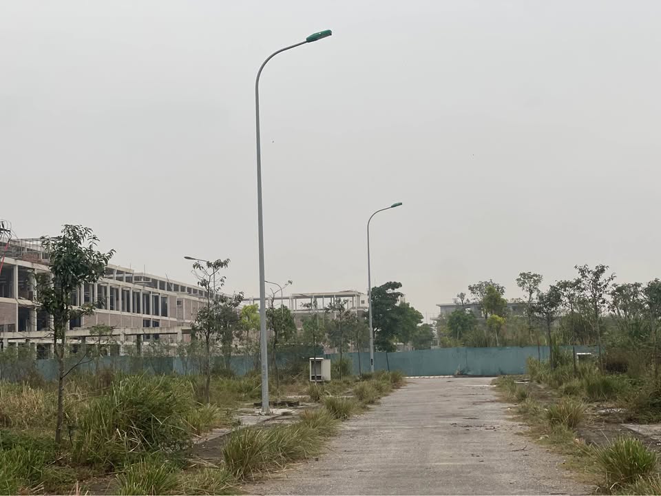 Đất nền dự án tại Quận Thanh Hóa 125m² giá 4 tỷ - Vị trí đắc địa, cơ hội đầu tư lớn!