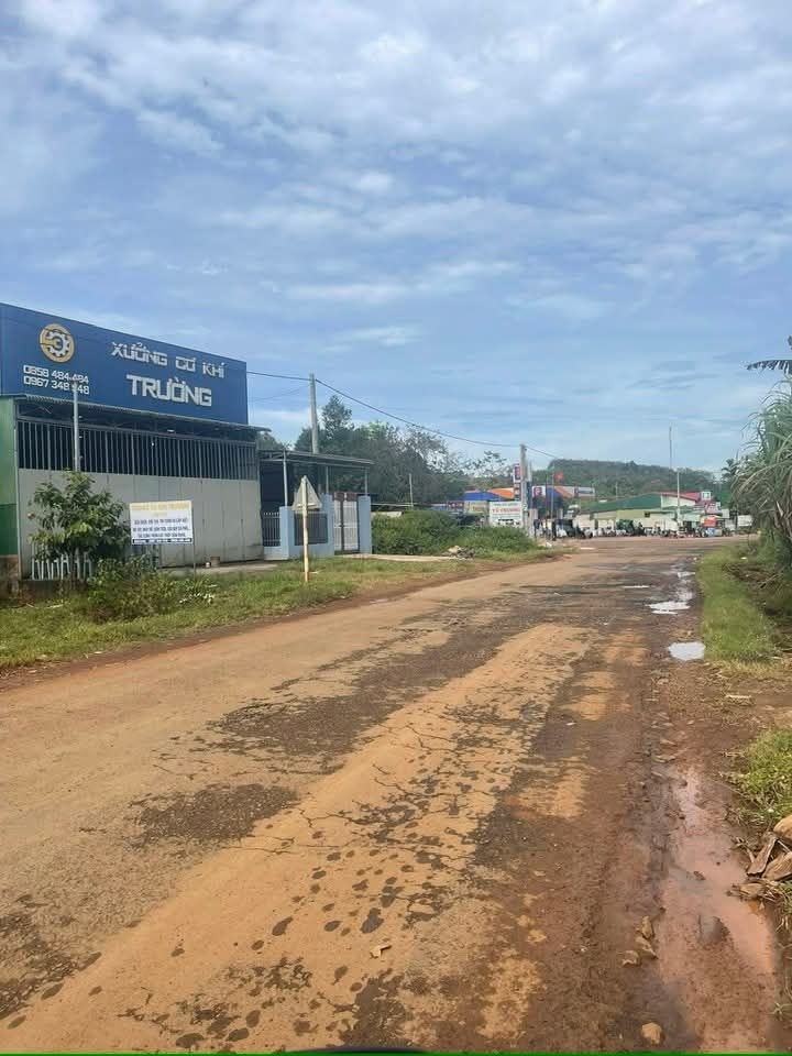 Nhà bán tại đường Notralong, Đắk Song 280m² giá 2.1 tỷ - Cơ hội đầu tư tuyệt vời!