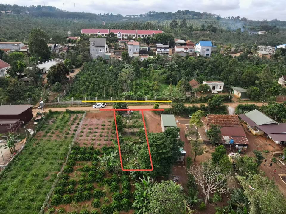 Đất ở mặt nhựa Đắk Môl 219m² giá 650 triệu - Vị trí kinh doanh đắc địa!